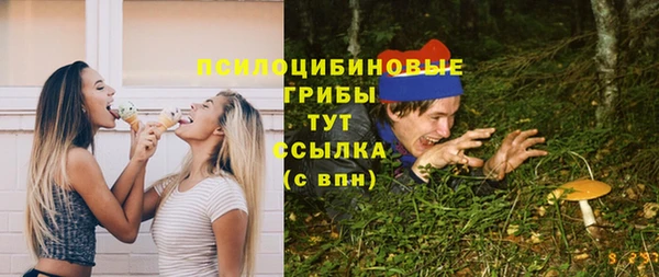 герыч Ладушкин